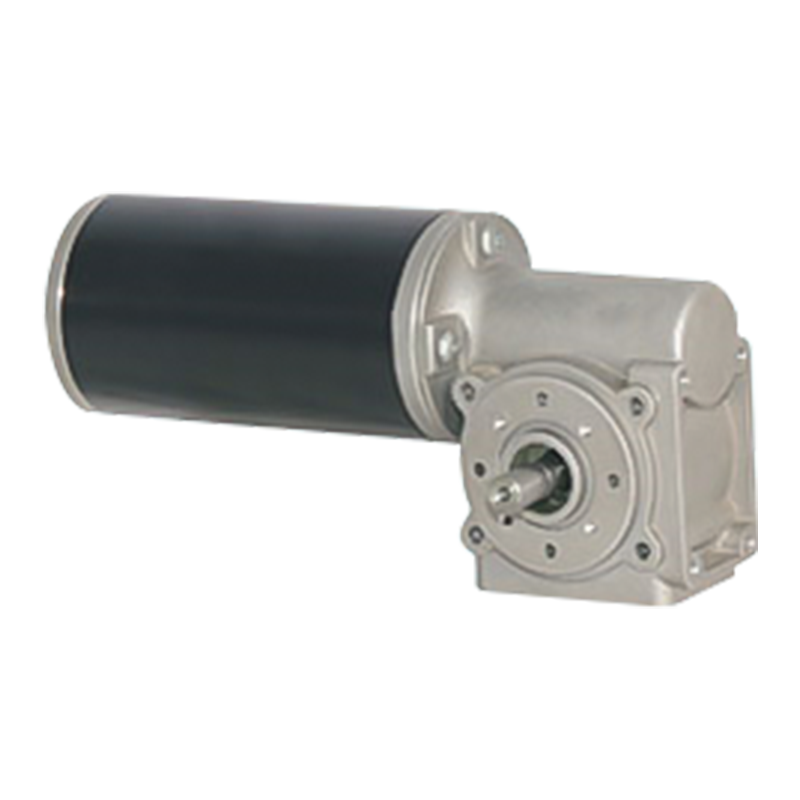 Motoriduttore a vite senza fine con spazzole a coppia elevata 63JW/63ZY125 con encoder/freno opzionale