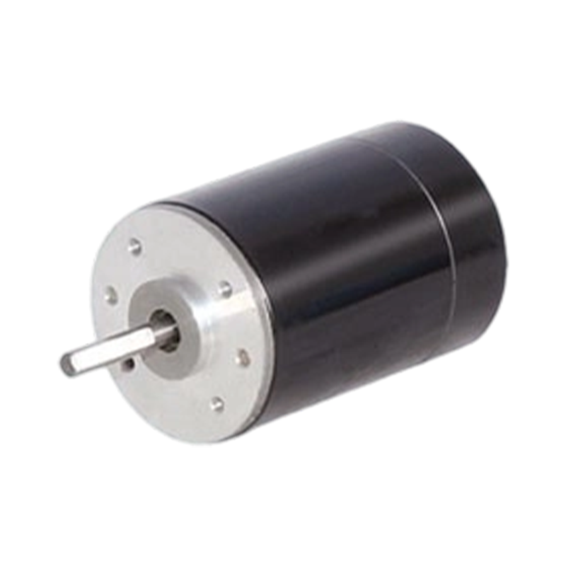 38ZY63 Motore CC con spazzole a magnete permanente da 38 mm 24 V/48 V