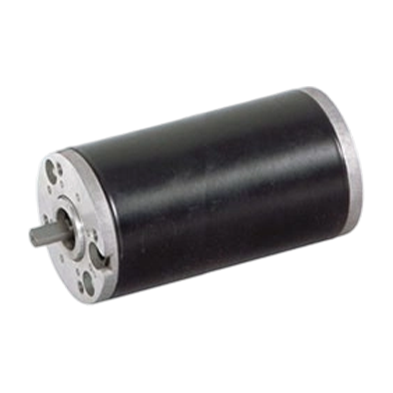 63ZY125 Motore CC con spazzole a magnete permanente con livello di protezione elevato da 63 mm