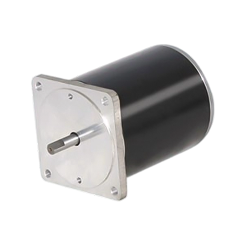 Motore CC con spazzole a magnete permanente 80ZY100 da 80 mm 12 V/24 V