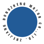 Zhejiang Dongzheng Motore Co.,Ltd.