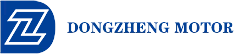 Zhejiang Dongzheng Motore Co.,Ltd.
